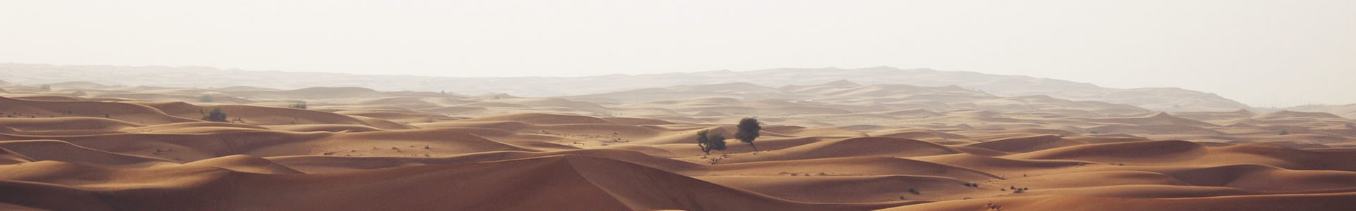 Ƽ޹˾